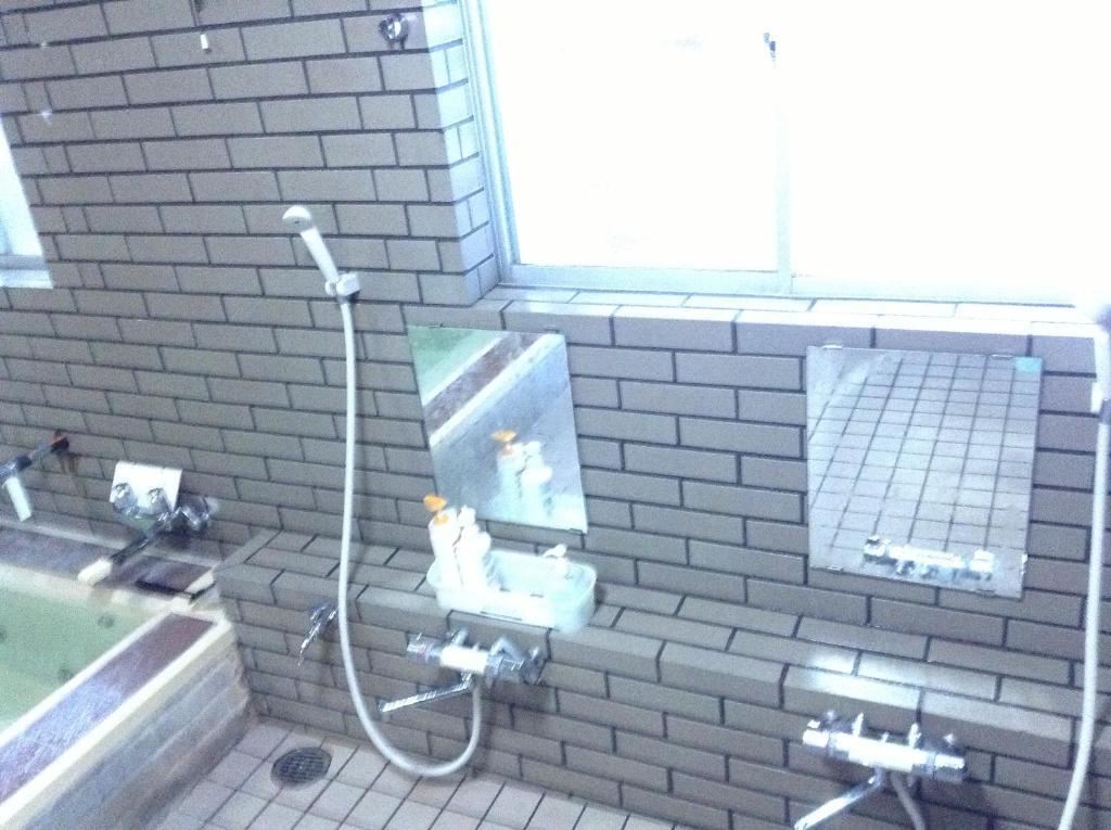 Araya Ryokan Hakuba Esterno foto